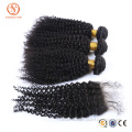 7A Cheap Virgin Brazilian Kinky Curly Human Hair 4x4 Lace Closures With Bleached Knots